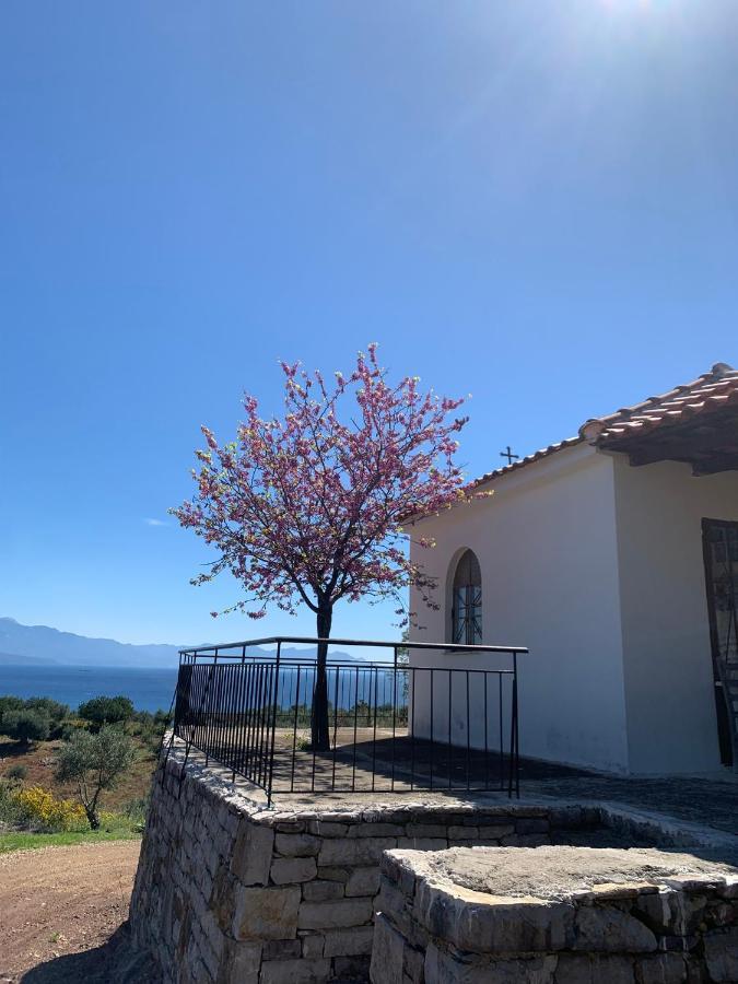 Villa Delfini Chrani Extérieur photo