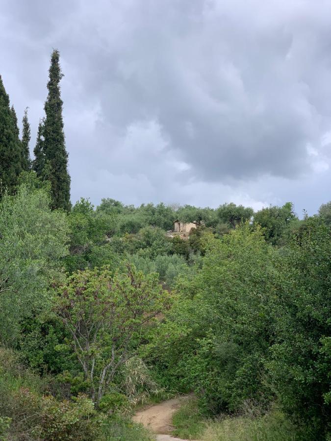 Villa Delfini Chrani Extérieur photo